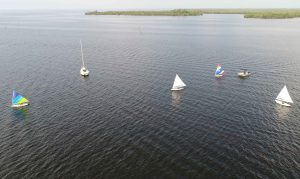 Sunfish and Minifish sailing