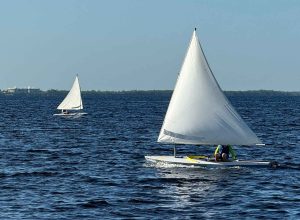 Sunfish Upwind