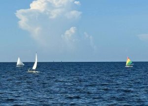 Charlotte Harbor Sunfish